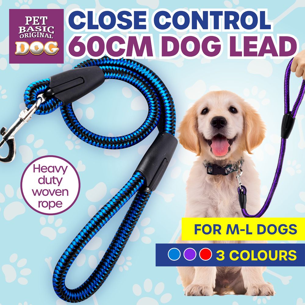 Dog Lead - Close Control - Dollars and Sense