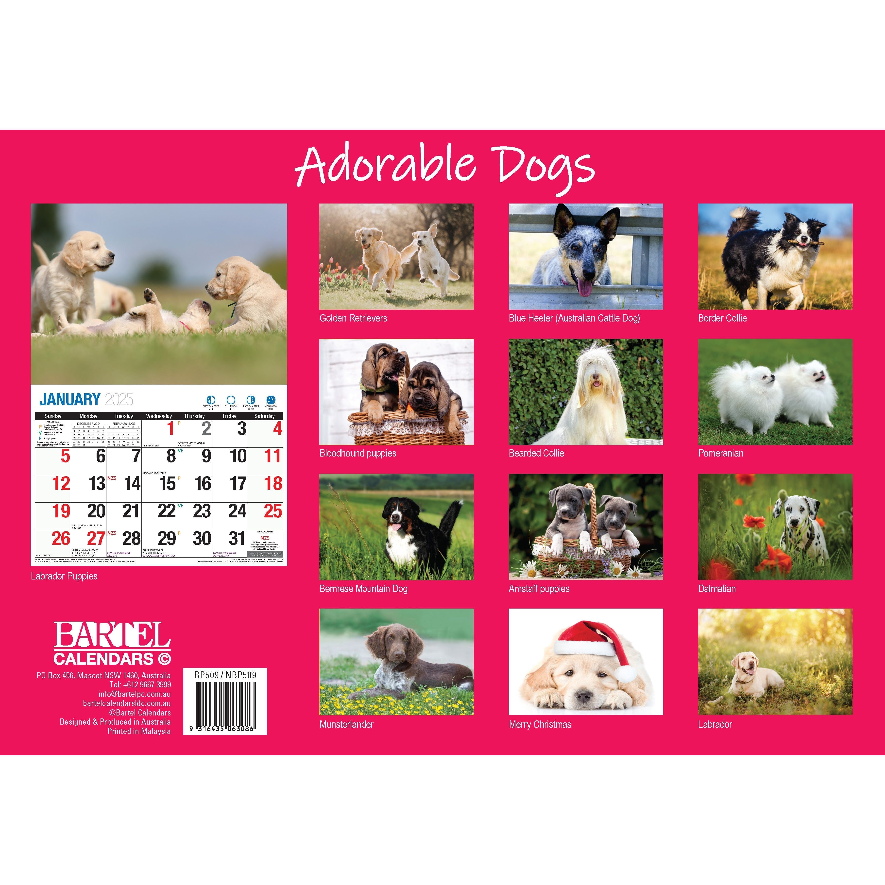 Calendar 2025 - Adorable Dogs