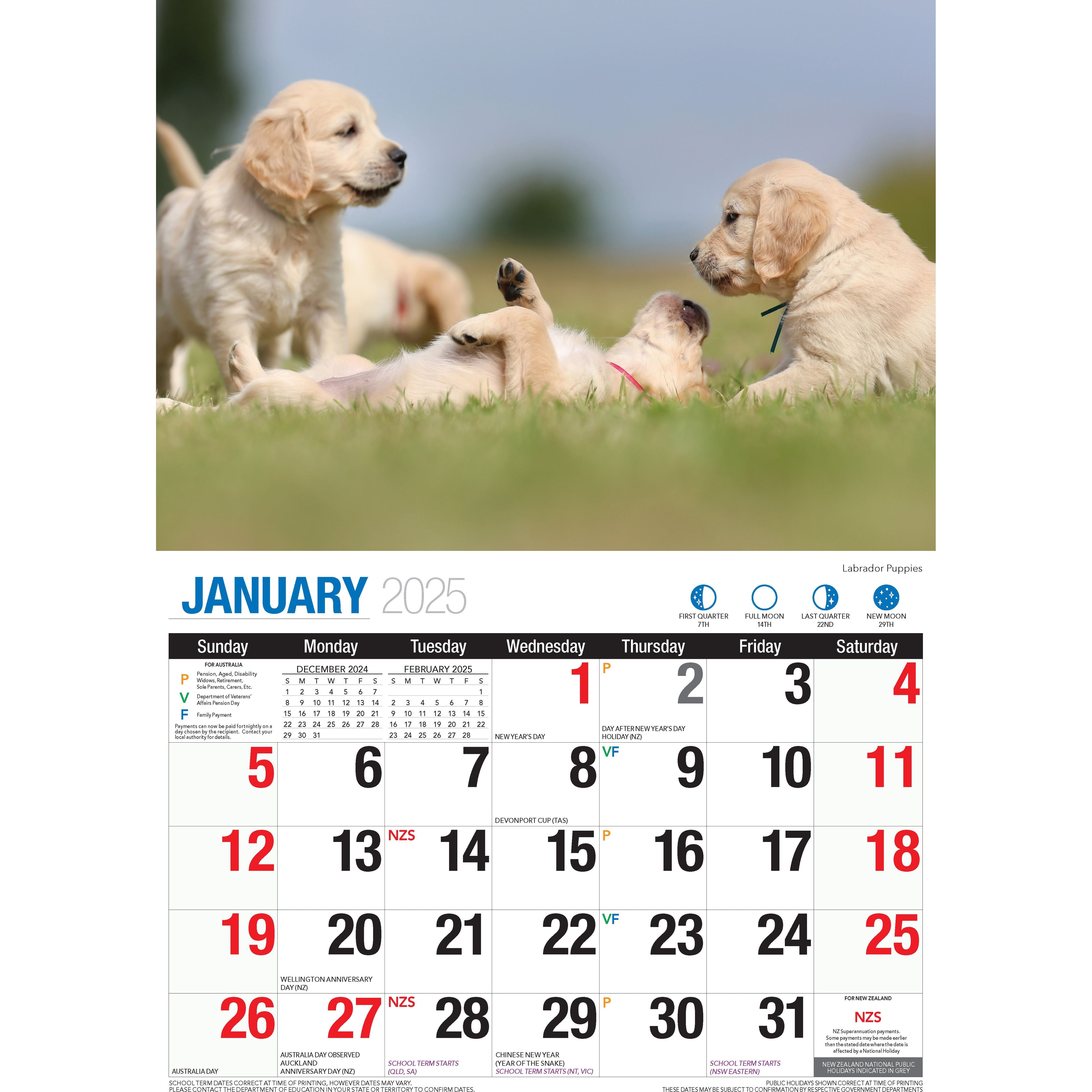 Calendar 2025 - Adorable Dogs