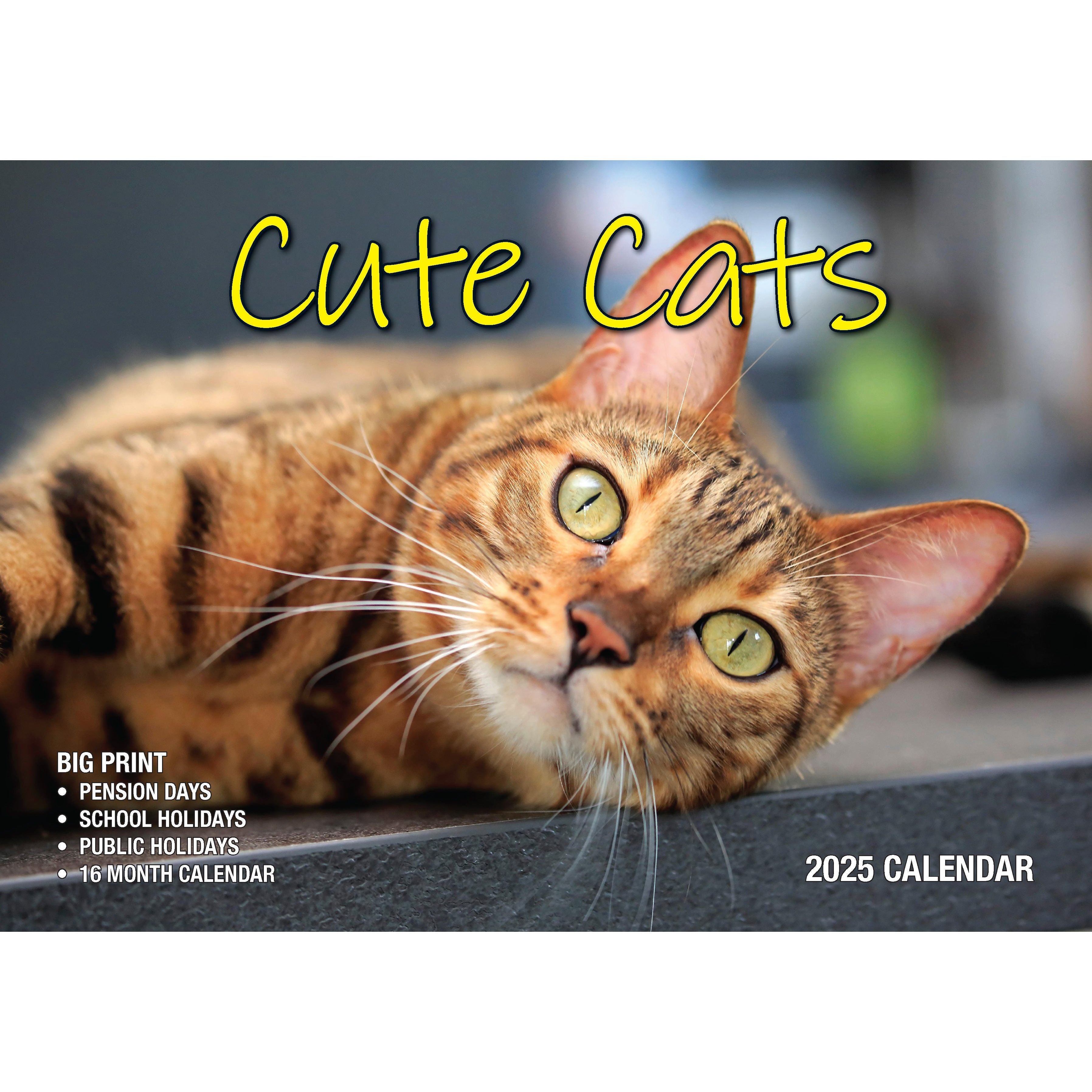 Calendar 2025 - Cute Cats