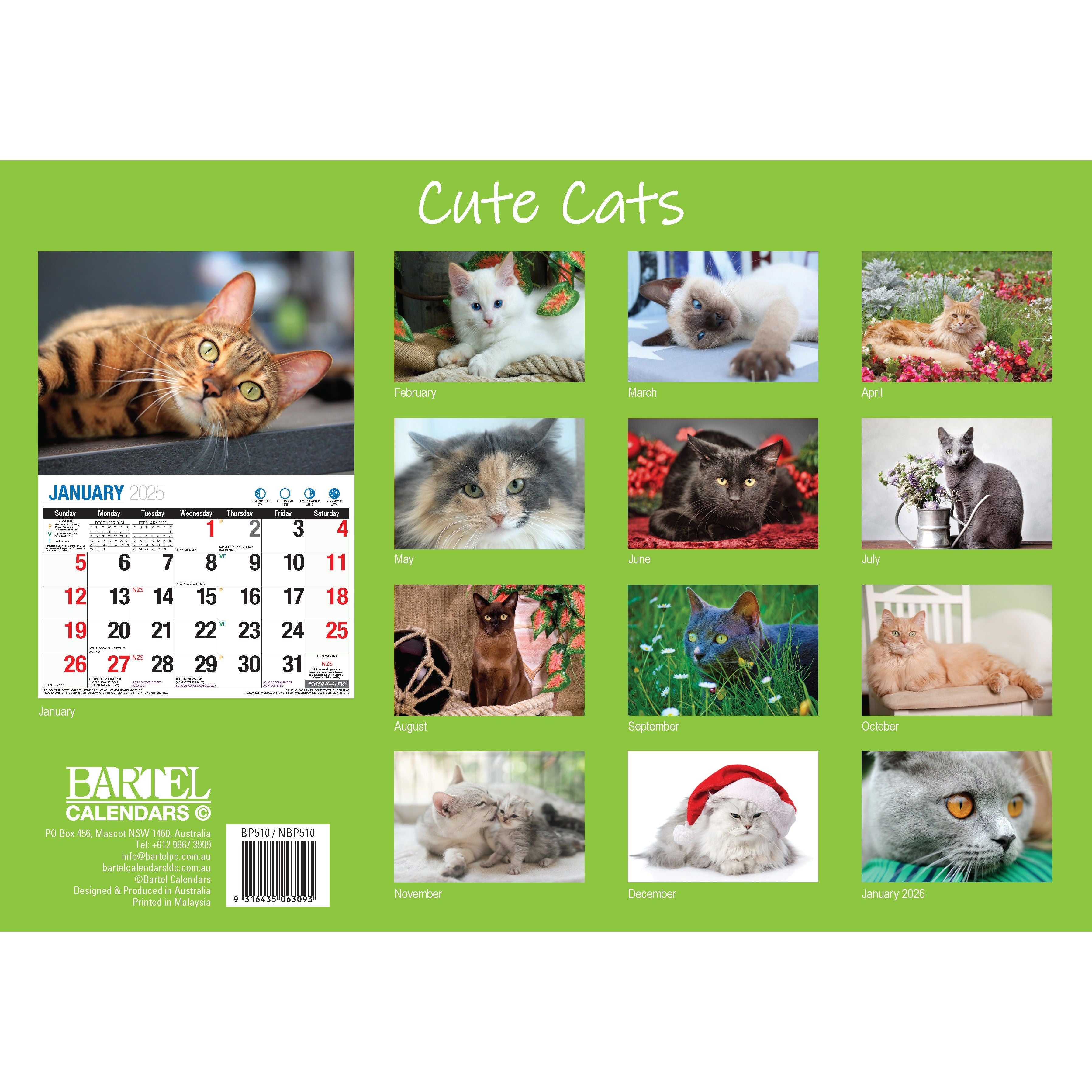 Calendar 2025 - Cute Cats