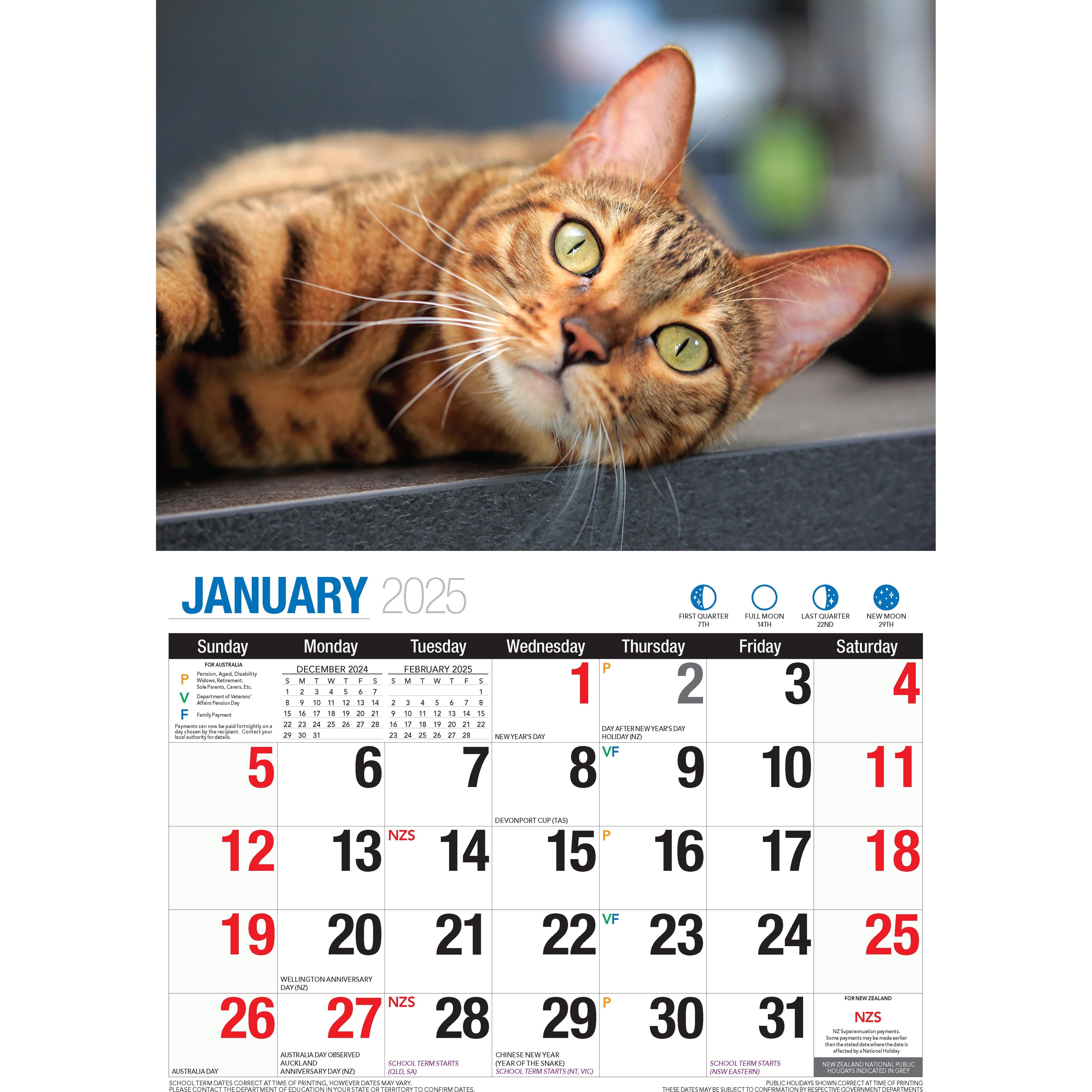 Calendar 2025 - Cute Cats