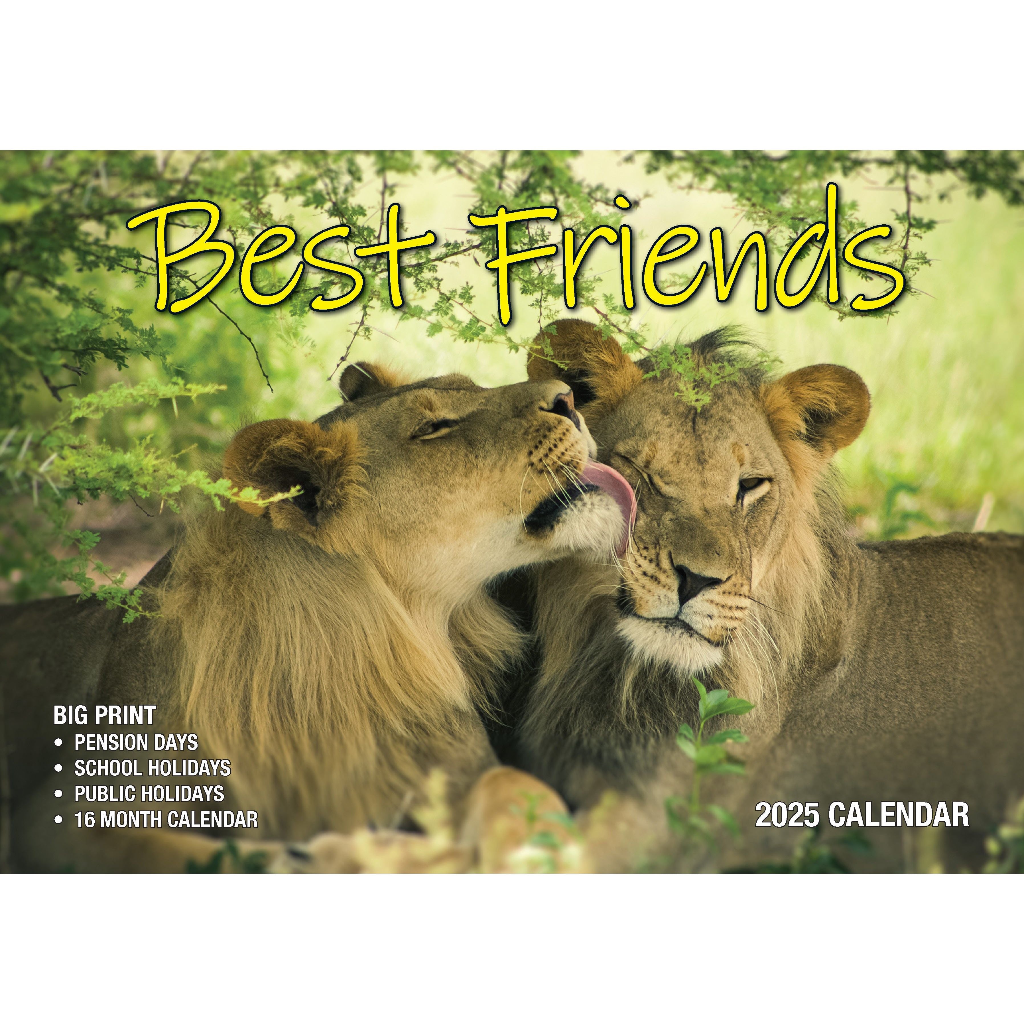 Calendar 2025 - Best Friends