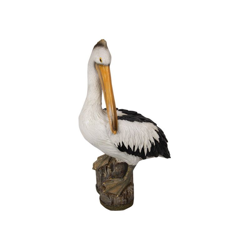 Pelican on Log