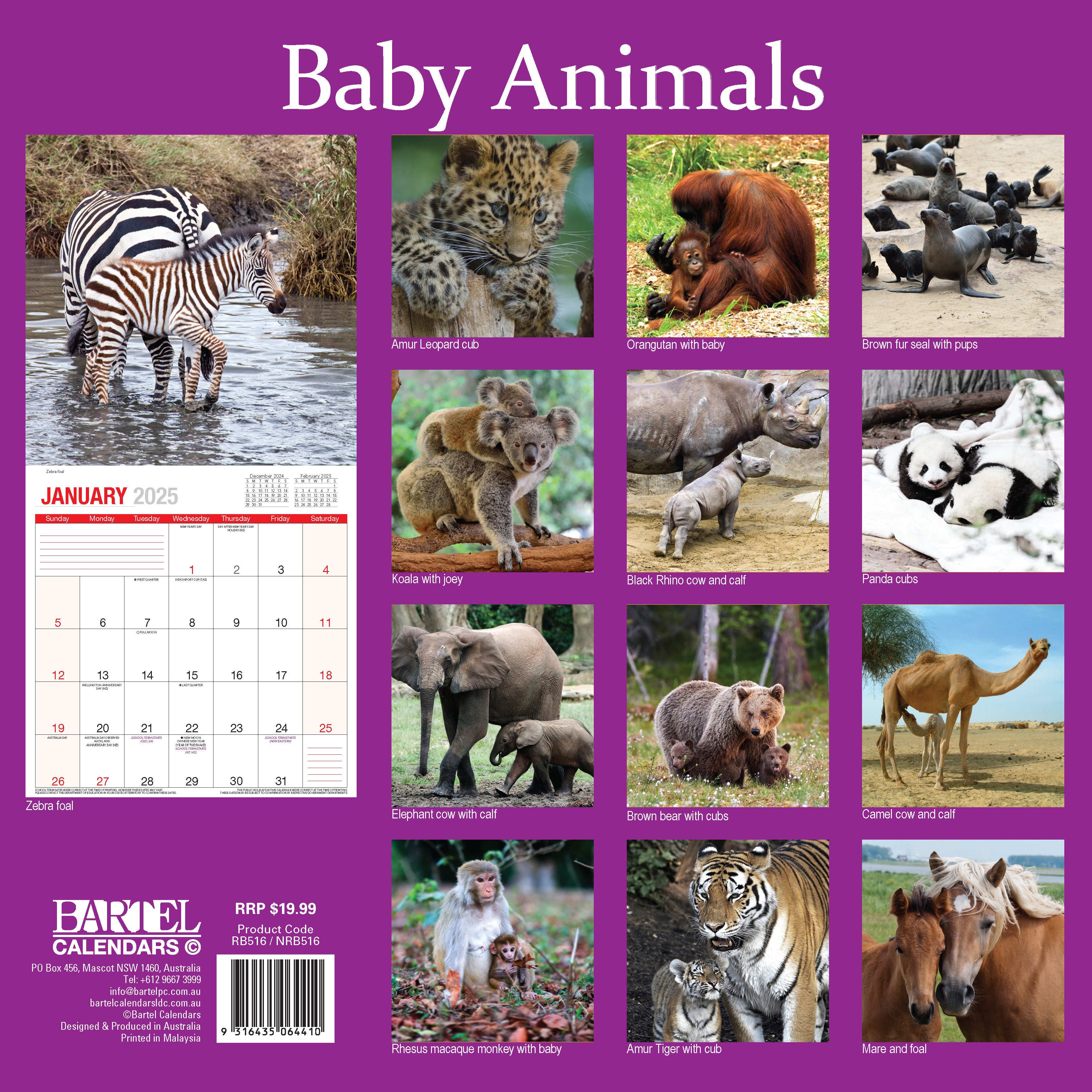 Calendar 2025 - Baby Animals