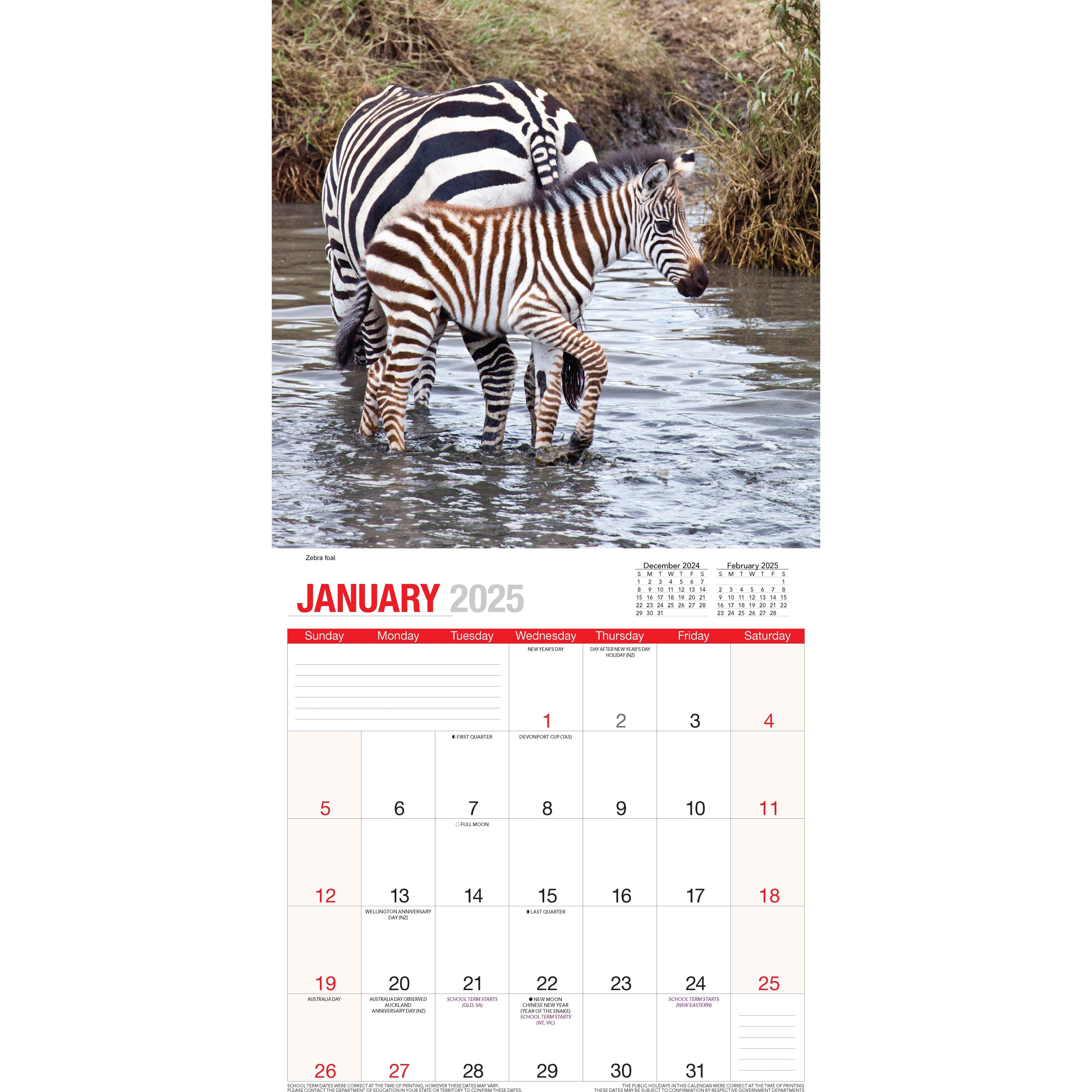 Calendar 2025 - Baby Animals