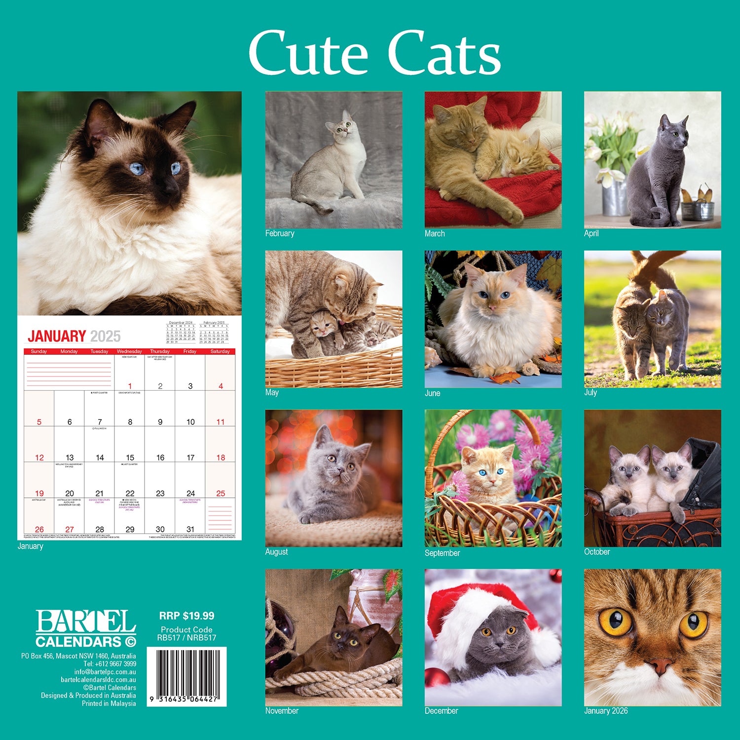 Calendar 2025 - Cute Cats