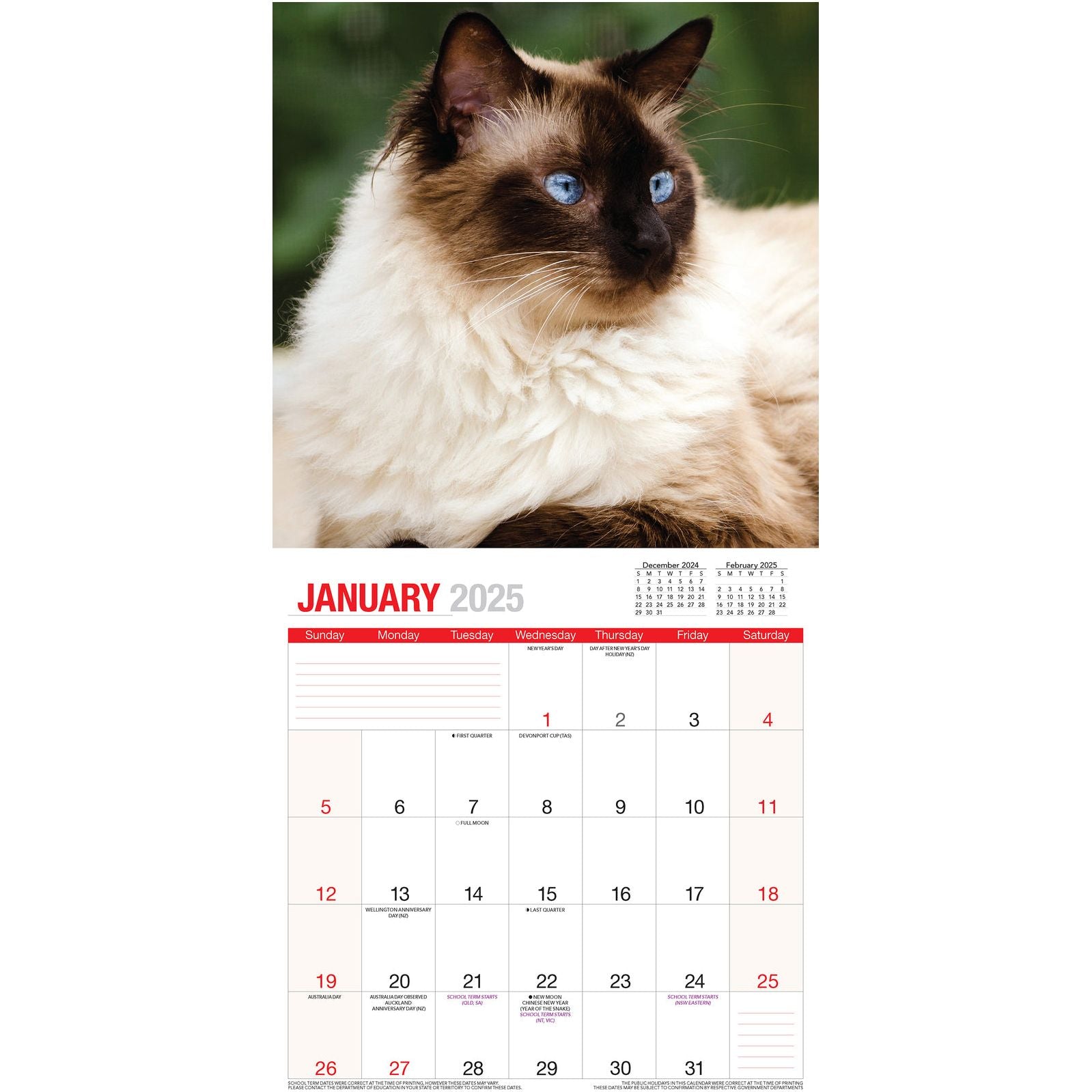 Calendar 2025 - Cute Cats