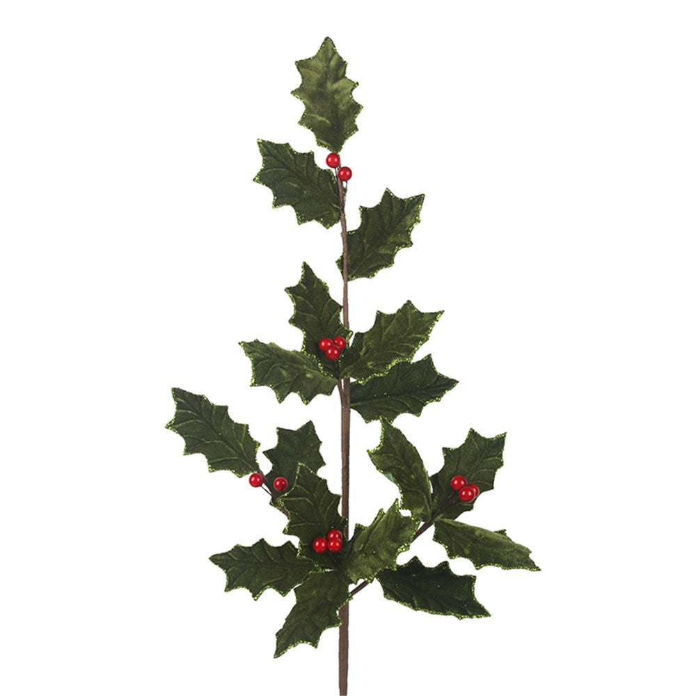 Christmas Holly - Berries & Leaves