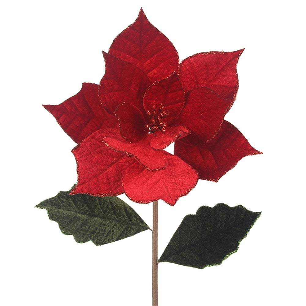 Christmas Red Poinsettia - Leaves