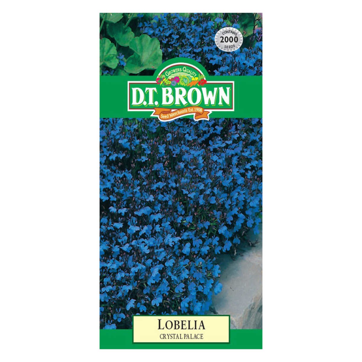 Lobelia Crystal Palace Seeds