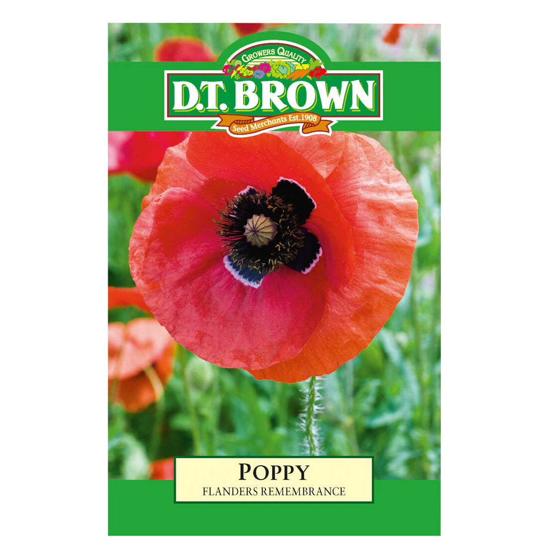 Poppy Flanders Red Seeds