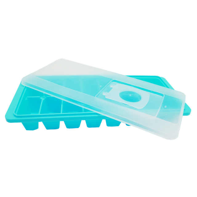 Ice Cube Tray with Lid