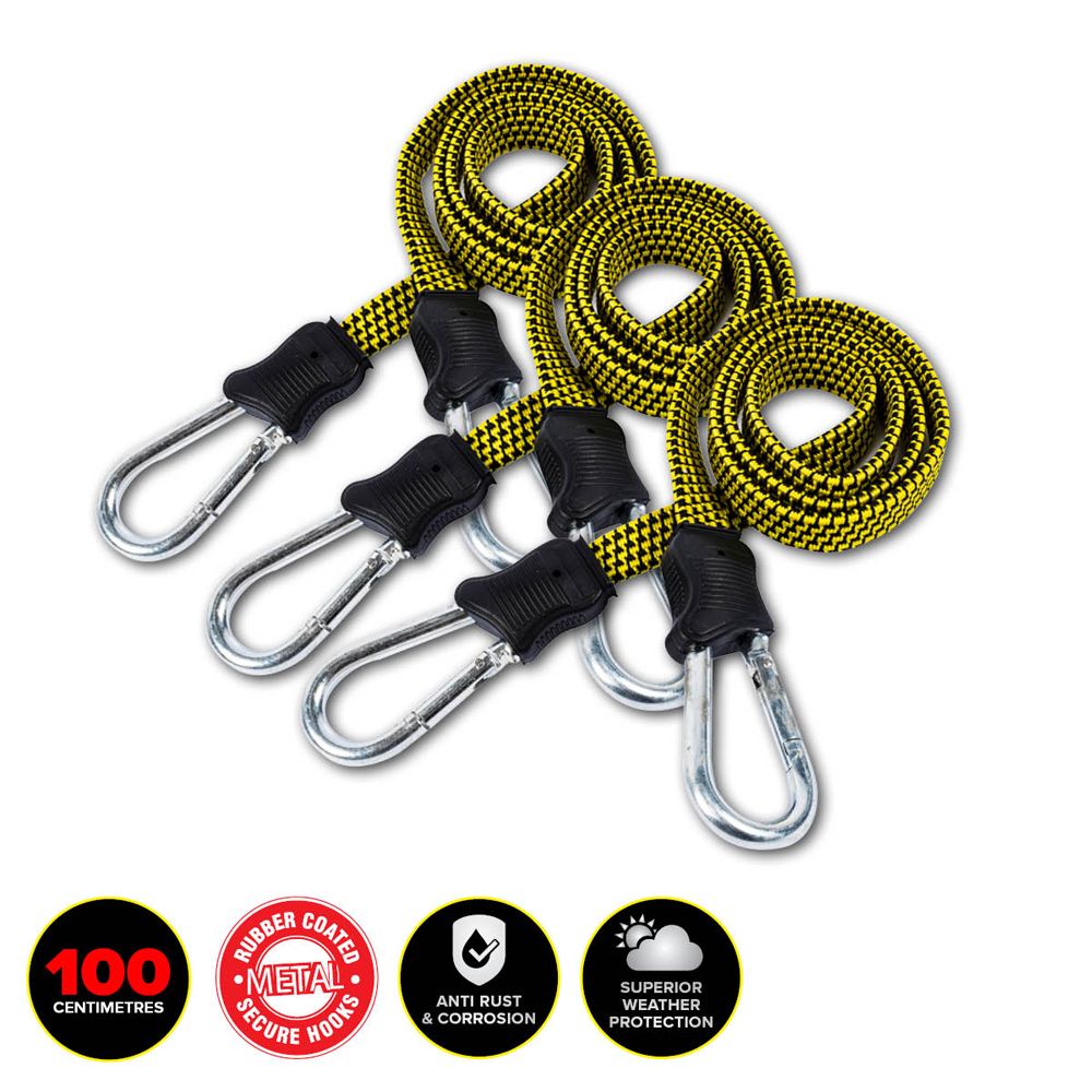 Flat Bungee Cord Strap - Heavy Duty - Dollars and Sense