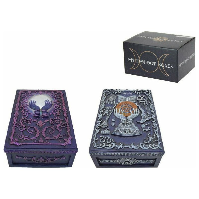 Fortune Hand Tarot Box - 13x10cm 1 Piece Assorted - Dollars and Sense