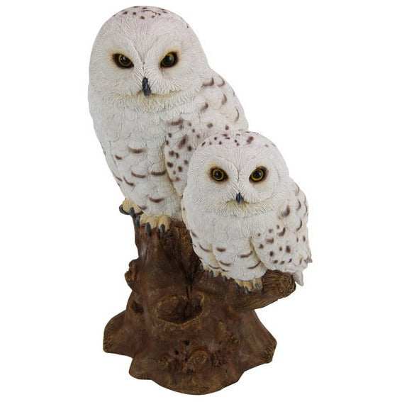 White Owl with Baby On Tree - Dollars and Sense