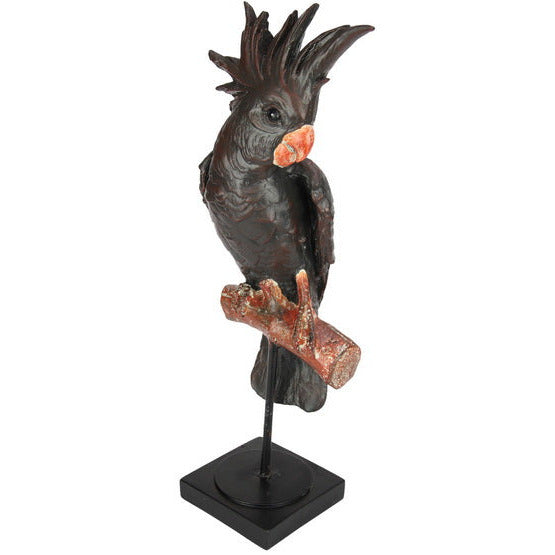 Black Cockatoo on Metal Stand - Dollars and Sense