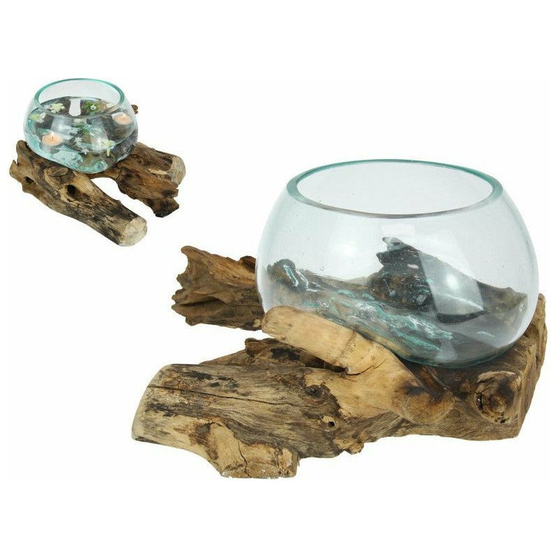 Unique Hand Blown Glass Fish Bowl Terrarium on Natural Driftwood - 35x20cm 1 Piece - Dollars and Sense