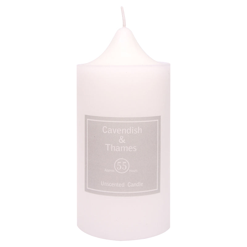 Unscented White Candle - Dollars and Sense