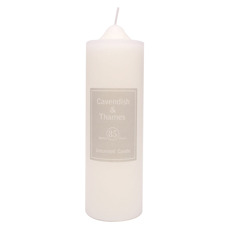 Unscented White Candle - Dollars and Sense